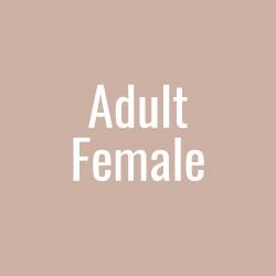 Adult Female